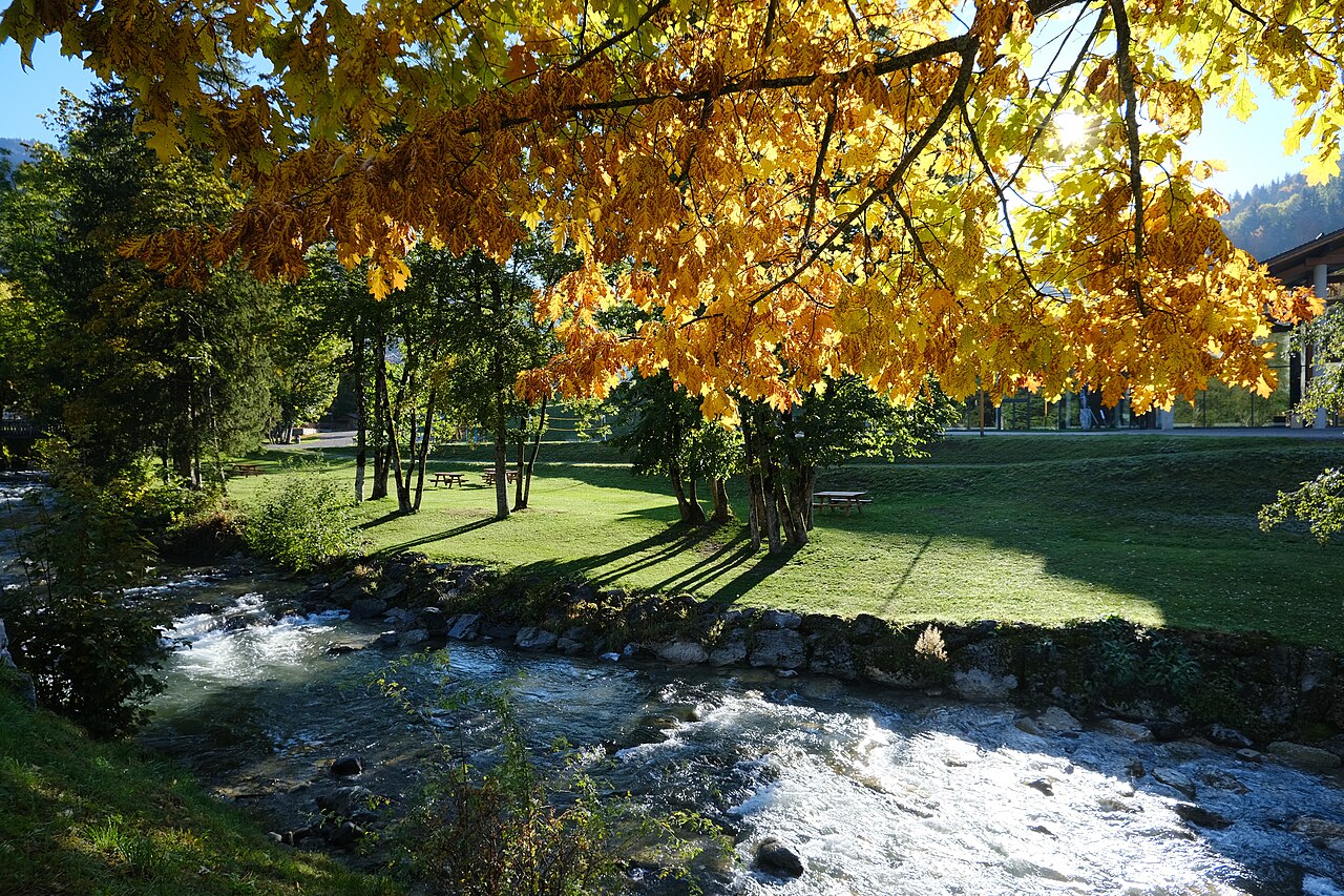La Borne et ses berges au Grand-Bornand en octobre 2020.